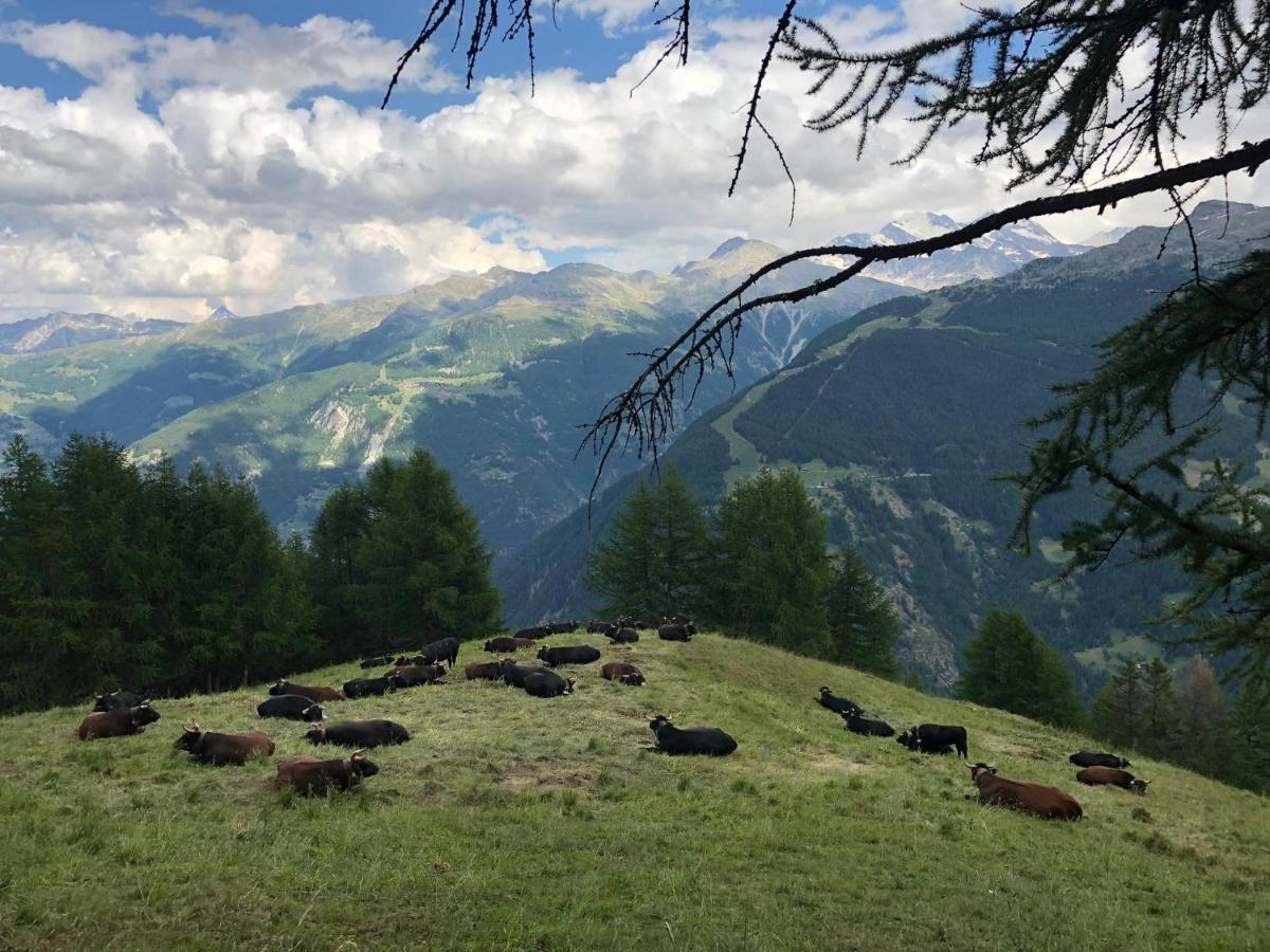 Bergbeiz Morgenrot B&B Embd Εξωτερικό φωτογραφία